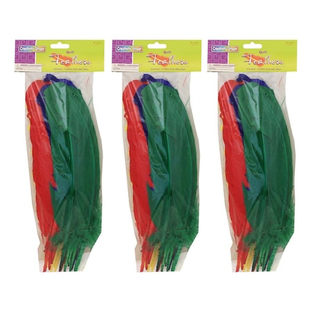 Quill Feathers, Assorted Colors, 12in, PK72